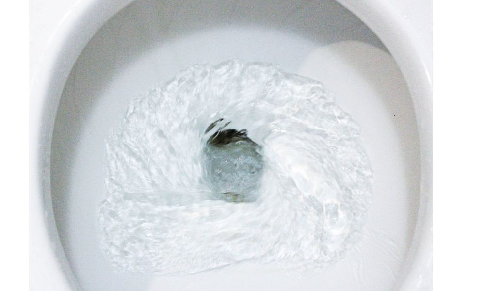 トイレを流している様子