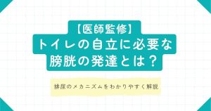 【医師監修】トイレの自立に必要な膀胱の発達とは？排尿のメカニズムをわかりやすく解説