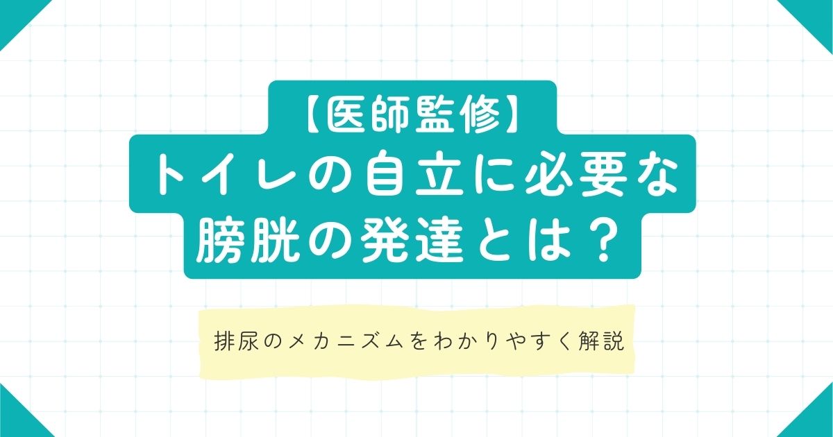 【医師監修】トイレの自立に必要な膀胱の発達とは？排尿のメカニズムをわかりやすく解説