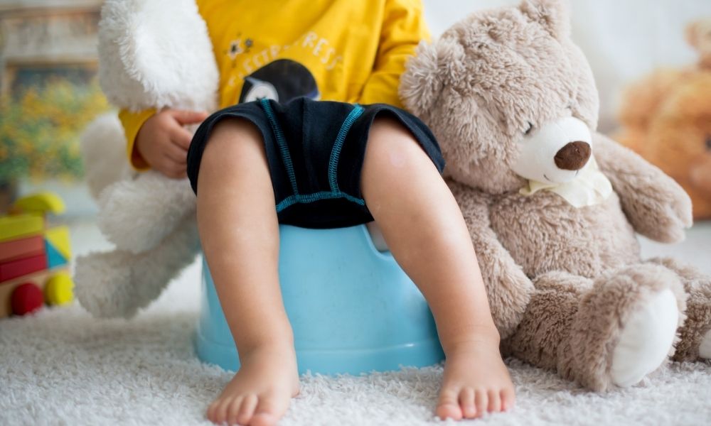 小さな男の子がおまるに座っている